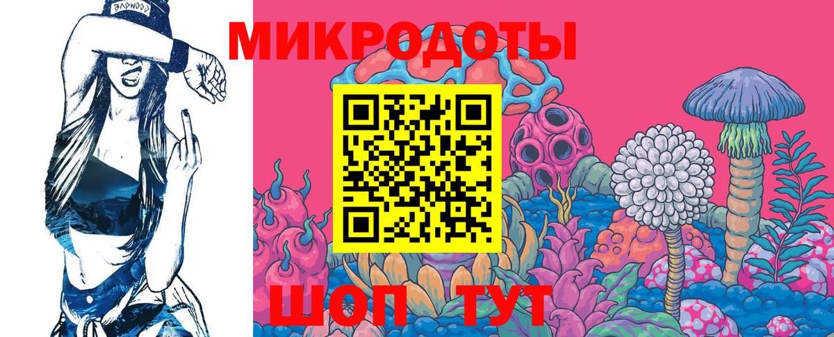 Псилоцибиновые грибы Psilocybe Североморск