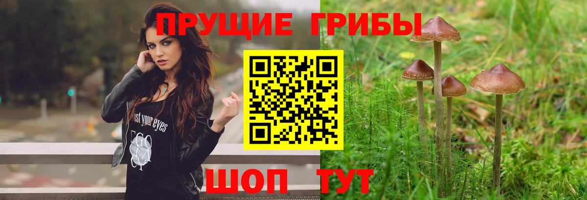 Псилоцибиновые грибы GOLDEN TEACHER  Псилоцибиновые грибы Cubensis  Североморск  Вход с VPN 